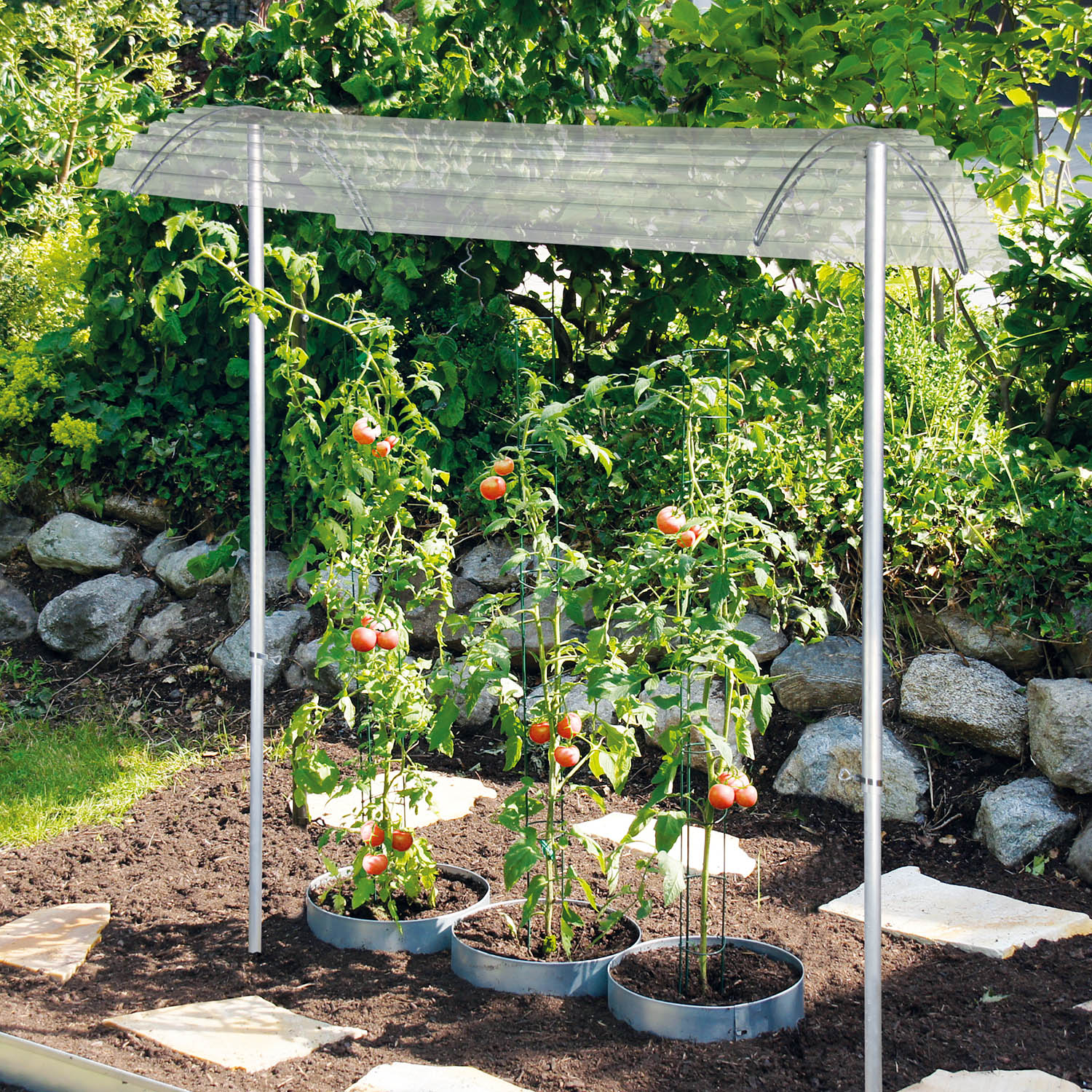Tomatendach RAPIDO
